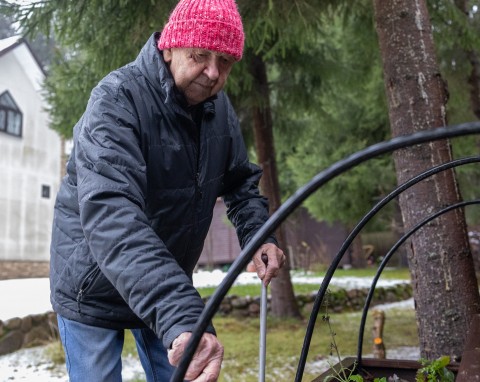 Czego unikać w ogrodzie zimą? 5 częstych błędów, które po cichu niszczą rośliny