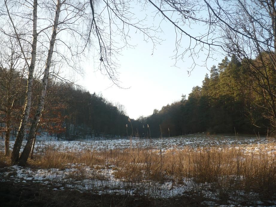 Pozostałe, Czas na serduszka.............. - ............i polana...........