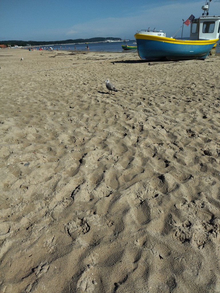 Rośliny, Sierpniowe love......................... - Lato rozpieszcza nas słonkiem .................i pięknymi widokami......................nawet moje robótki poszły w odstawkę .................nastał czas wypoczynku..................póki lato trwa :) Pozdrawiam Was bardzo serdecznie i duuuuuuuuuużo dobrego życzę :)