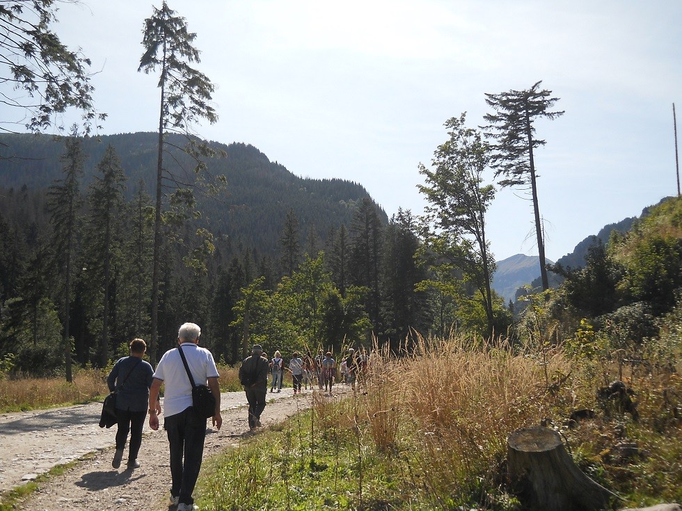 Pozostałe, Zakopane w foto - pigułce. Część piąta: Dolina Kościeliska. - Zachwyca mnie...dlatego umieszczam, mimo, że sporo na nim ludzi.