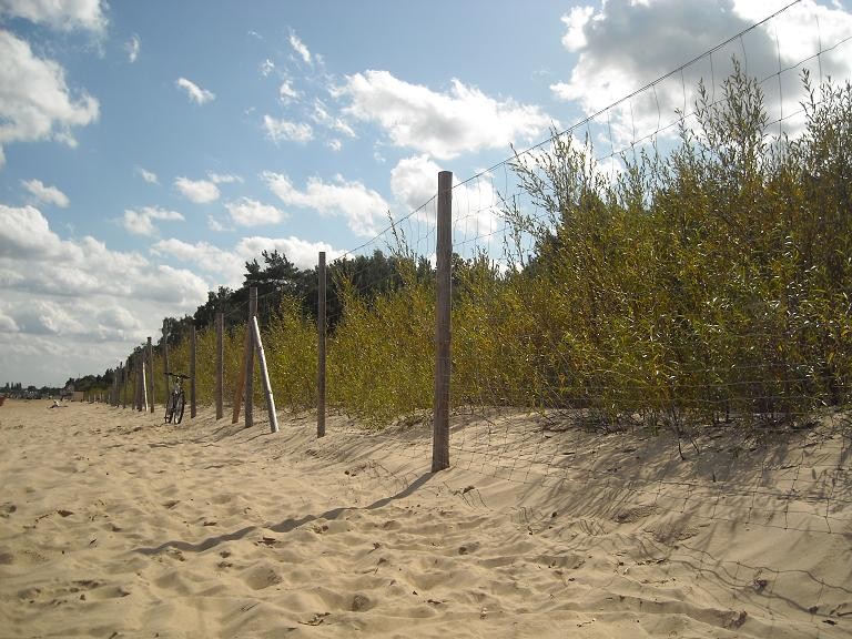 Pozostałe, Wrześniowa plaża...................