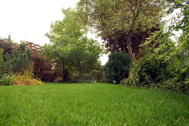 Łagodna zima przedłuża okres wegetacji traw.