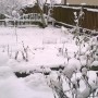 Ogród, Działka w zimowej odsłonie