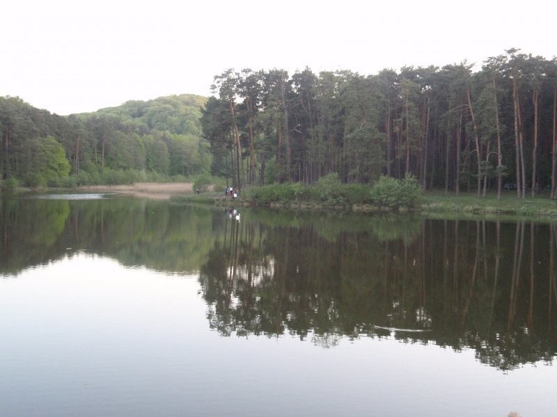 Rośliny, Wiejsko....sielsko...