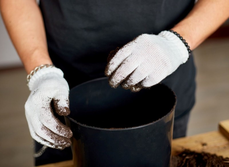 co zrobić z ziemią z donic po sezonie