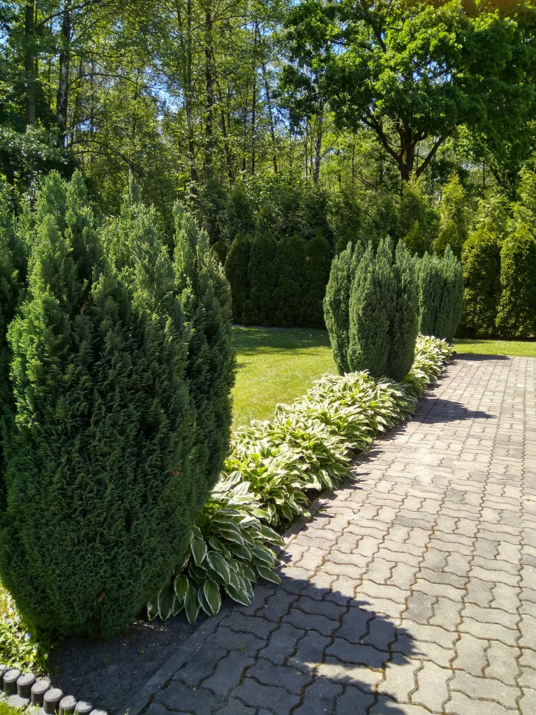 Ogród, Ogród