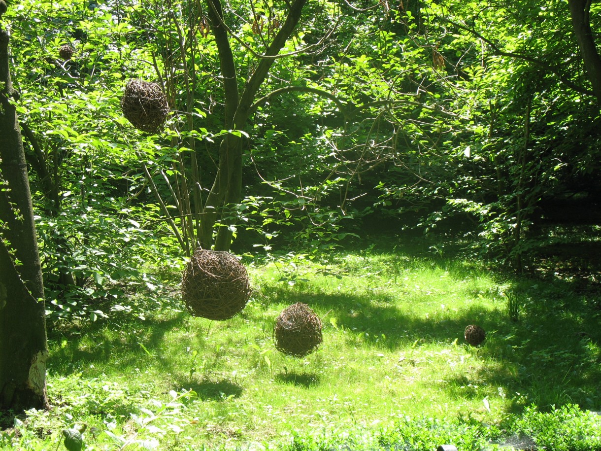 Pozostałe, niedzielna wycieczka:)))) - "Wiklina w Arboretum"