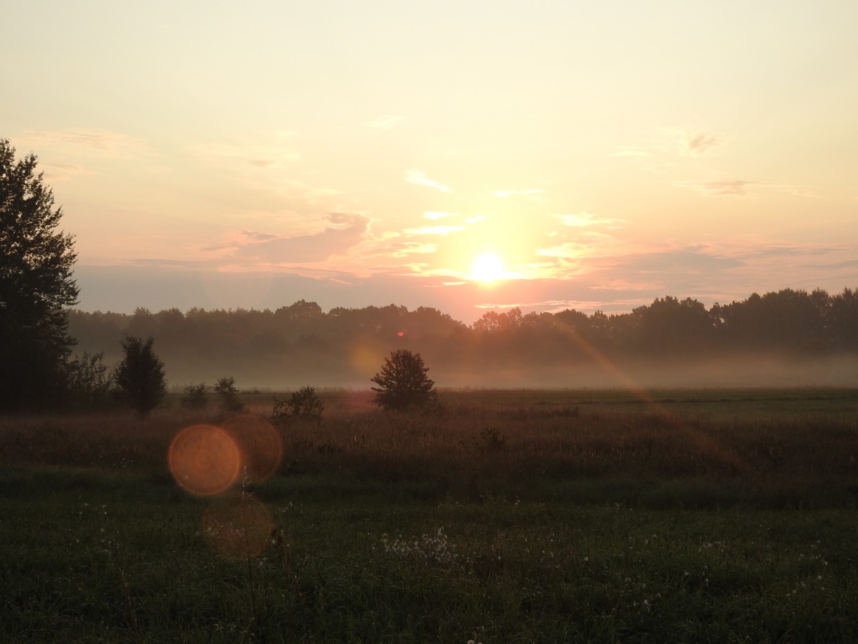 Leśne klimaty, WRZEŚNIOWY PORANEK :)