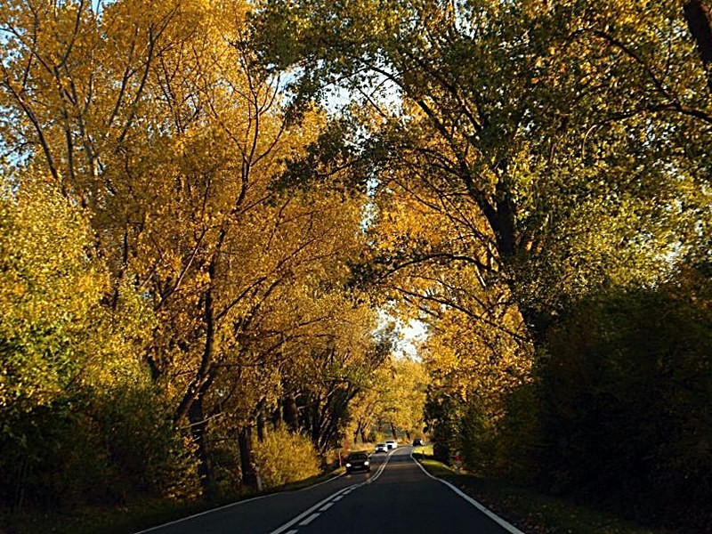 Podróże, Jesienną drogą jadąc