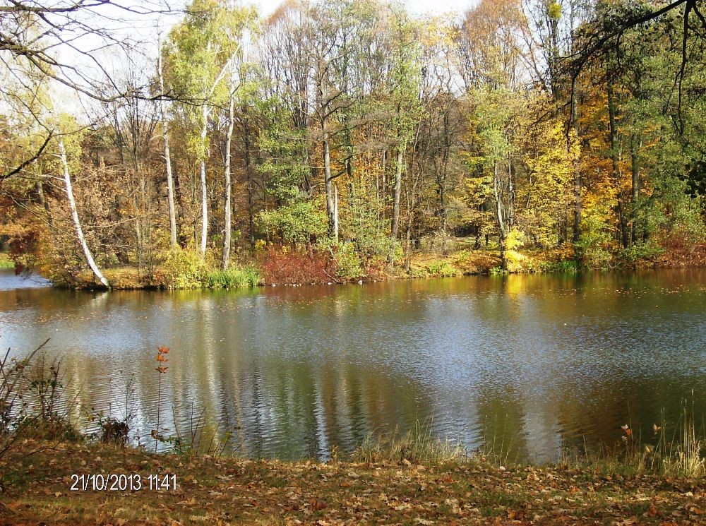 Pozostałe, PARK w ŚWIERKLAŃCU - Rozległe jeziorko ... lustrzane odbicie... stanęłam jak wryta w niemym  zachwycie...