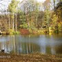 Pozostałe, PARK w ŚWIERKLAŃCU - Rozległe jeziorko ... lustrzane odbicie... stanęłam jak wryta w niemym  zachwycie...