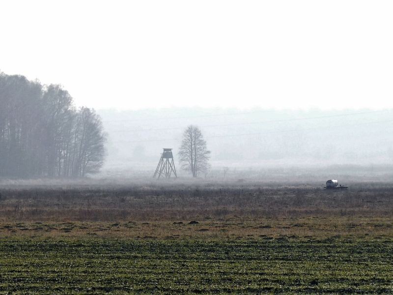 Pozostałe, Niedzielny spacer jeszcze świąteczny.