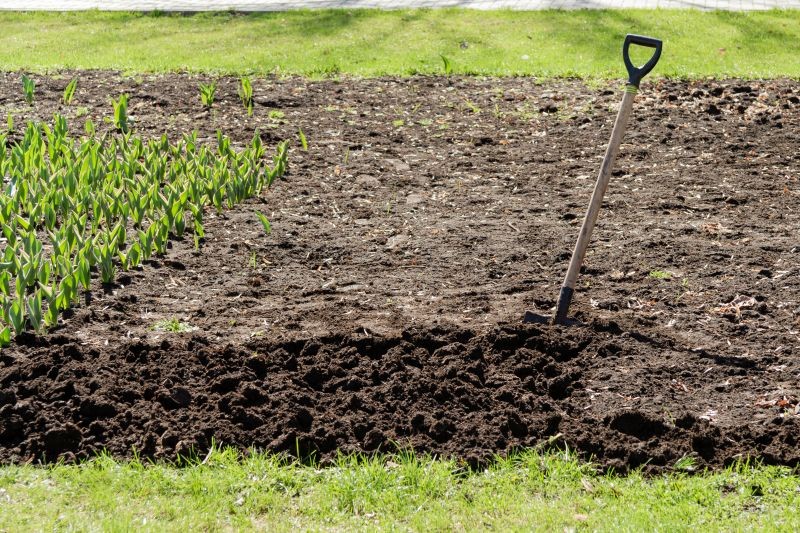 Pędraki warto zwalczać przed zimą, aby ograniczyć ich rozprzestrzenianie się w nowym sezonie.