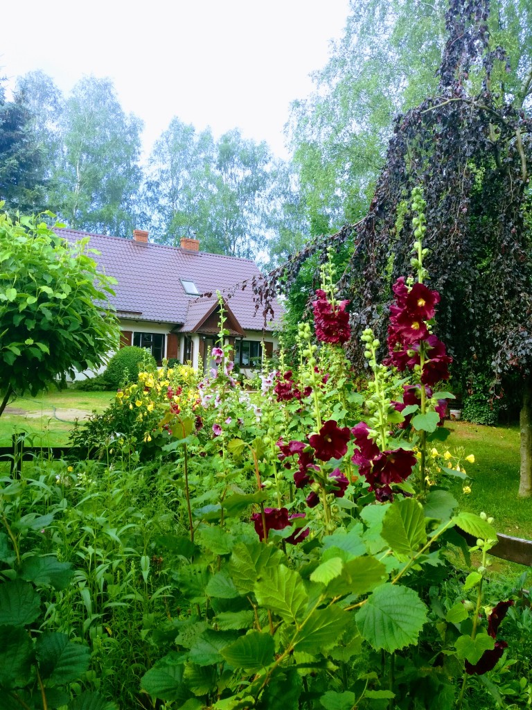 Domy i mieszkania, Jak zmieniło się moje mieszkanie/ dom.