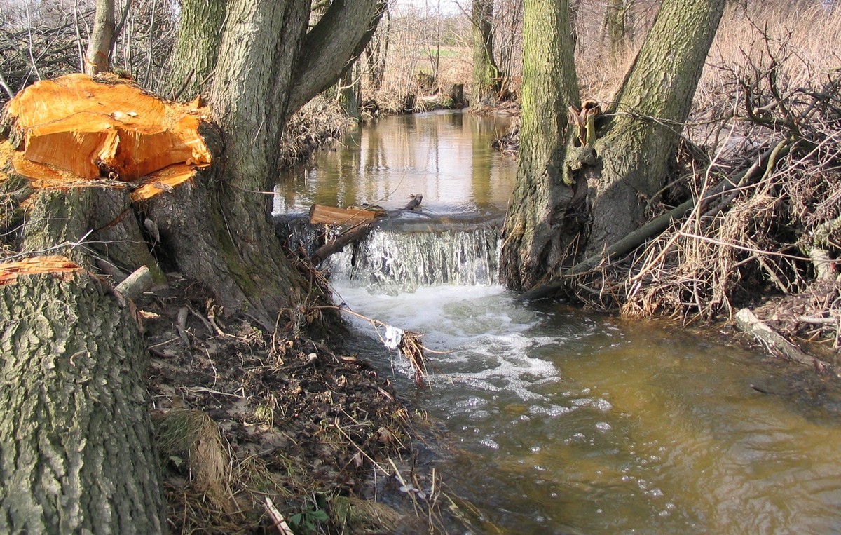 Pozostałe, Wiosna - Wiosna
https://atujest.blogspot.com/