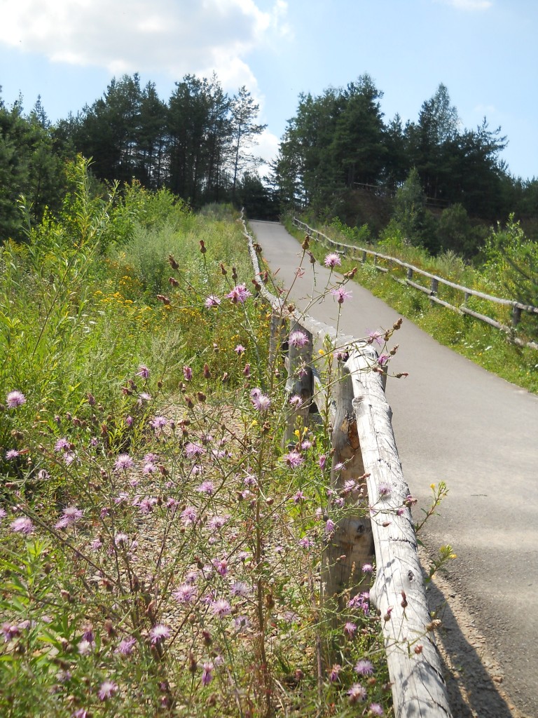 Pozostałe, Arboretum Gródek - polskie Malediwy. - Flora zachwycała..