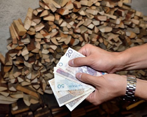 Ile kosztuje drewno opałowe w sierpniu 2023? Sprawdź, ile zapłacisz za sosnę, brzozę i dąb?