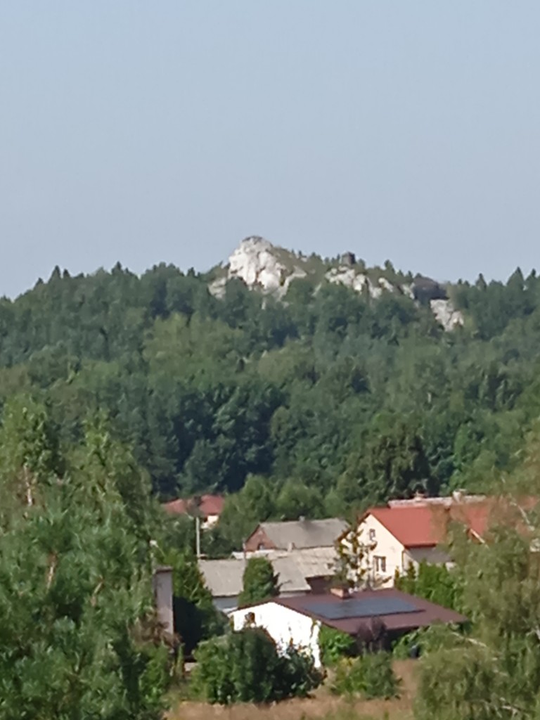 Podróże, PRZYSTANEK  W  OGRODZIEŃCU