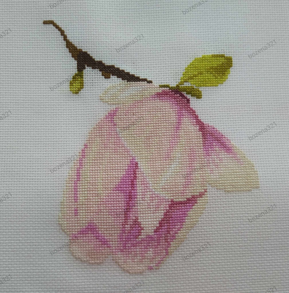 Dekoracje, Tryptyk "Magnolie" - Magnolia pączek