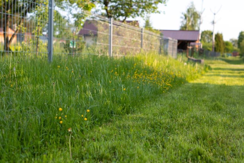 Na jaką wysokość kosić trawnik po zimie?