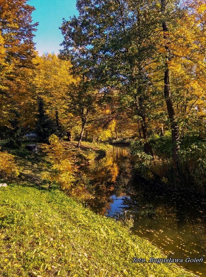 Podróże, Poniatowa jesień - Poniatowa, wysepka na zalewie - foto. Bogusława Goleń