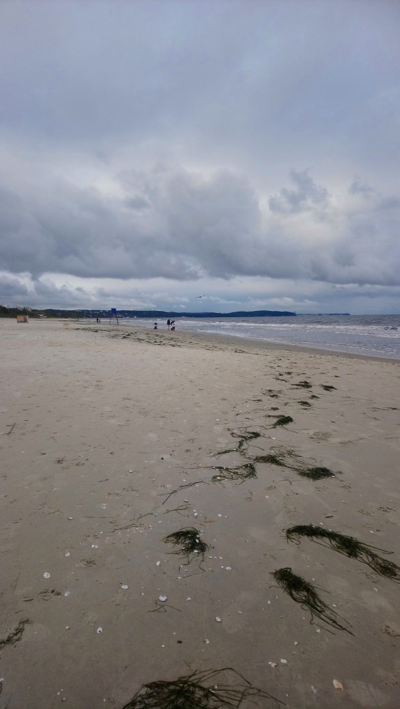 Dekoracje, Słoneczny październik................ - ................i plaża po sztormie..................