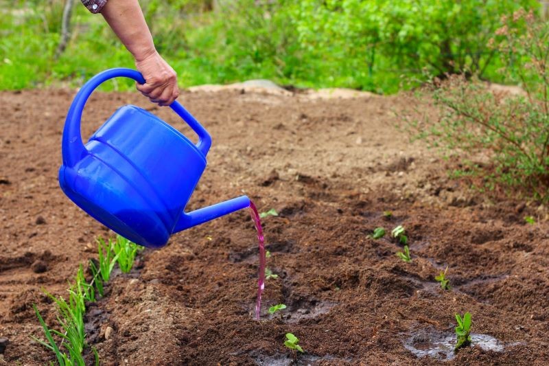 Nawozy mineralne działają szybciej niż naturalne, ale mają również wady.