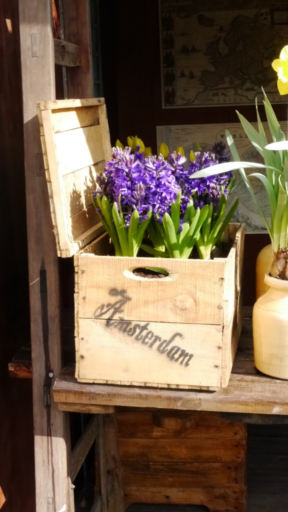 Pozostałe, Keukenhof