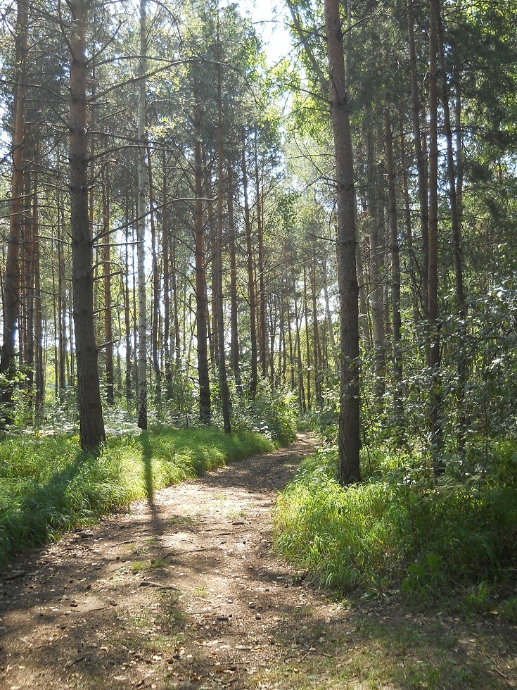 Pozostałe, Uroczysko. Fotoreportaż :) - Las się zaczął przerzedzać, pomiędzy drzewami pokazywał się trzeci punkt widokowy - szczyt góry.