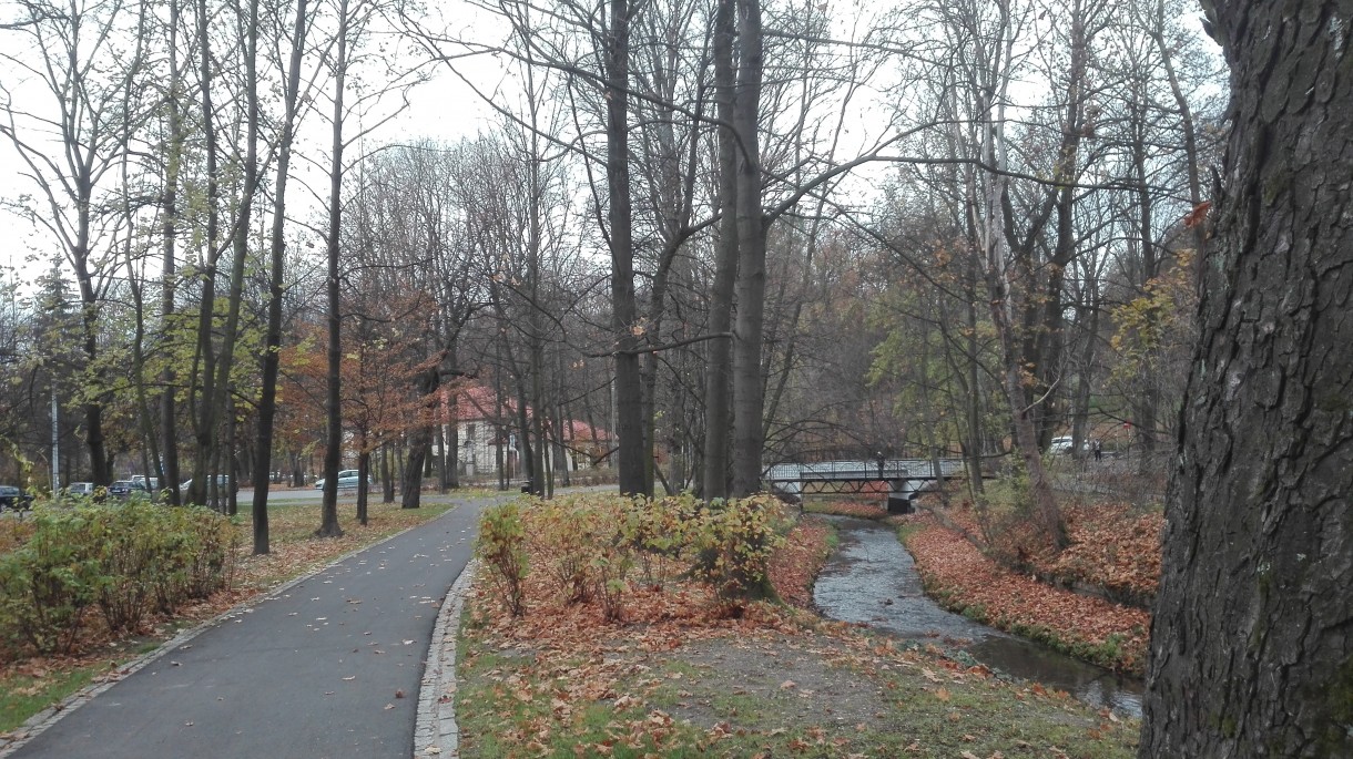 Podróże, Listopadowy park