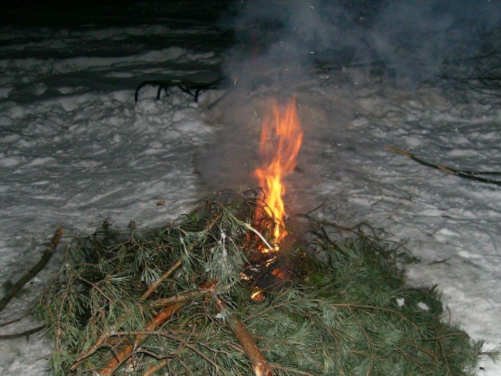 Pozostałe, PIKNIK  na  LEŚNIEJ  POLANIE - PIKNIK z KULIGIEM