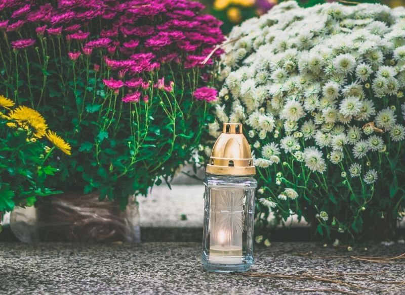 Chryzantemy to najczęściej wybierane kwiaty na cmentarz.