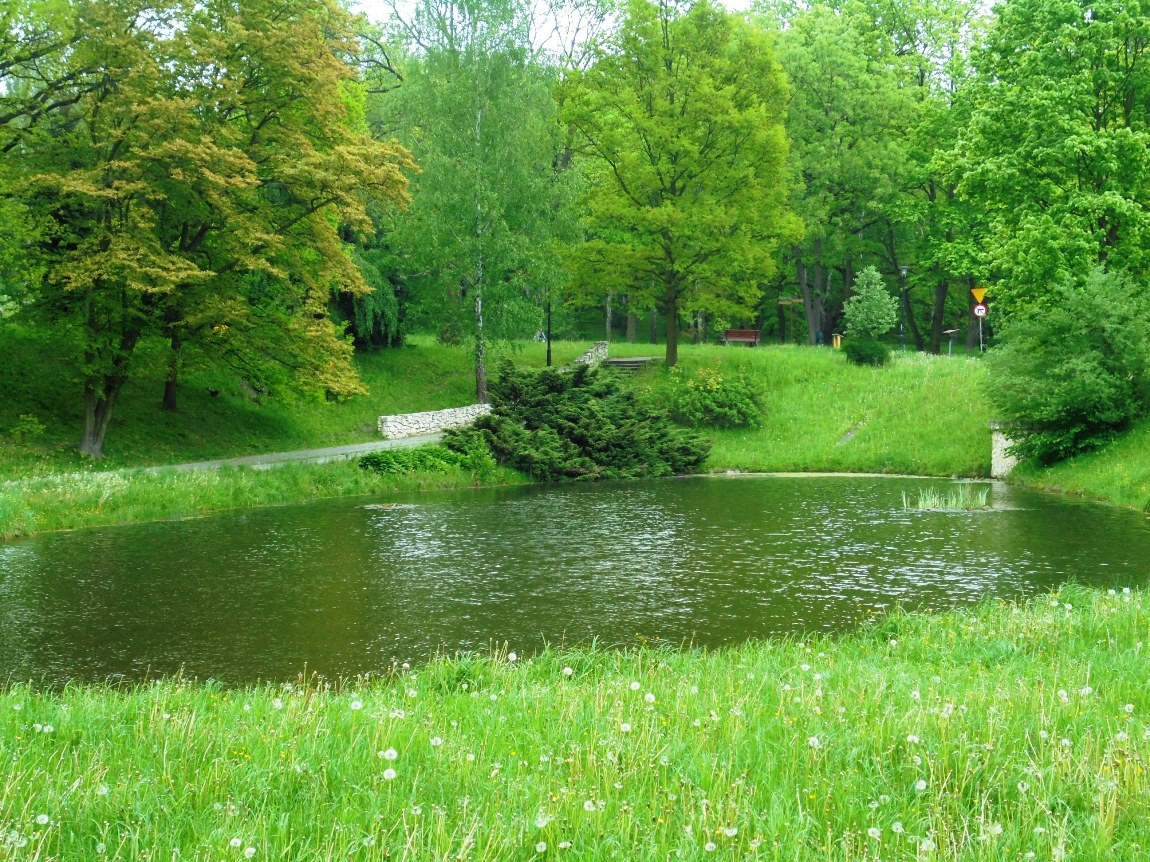 Pozostałe, MAJOWE  UROKI  PARKU  ŚLĄSKIEGO