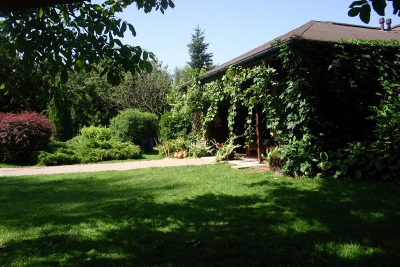 Miejsca znajdujące się w cieniu można ciekawie zaaranżować.