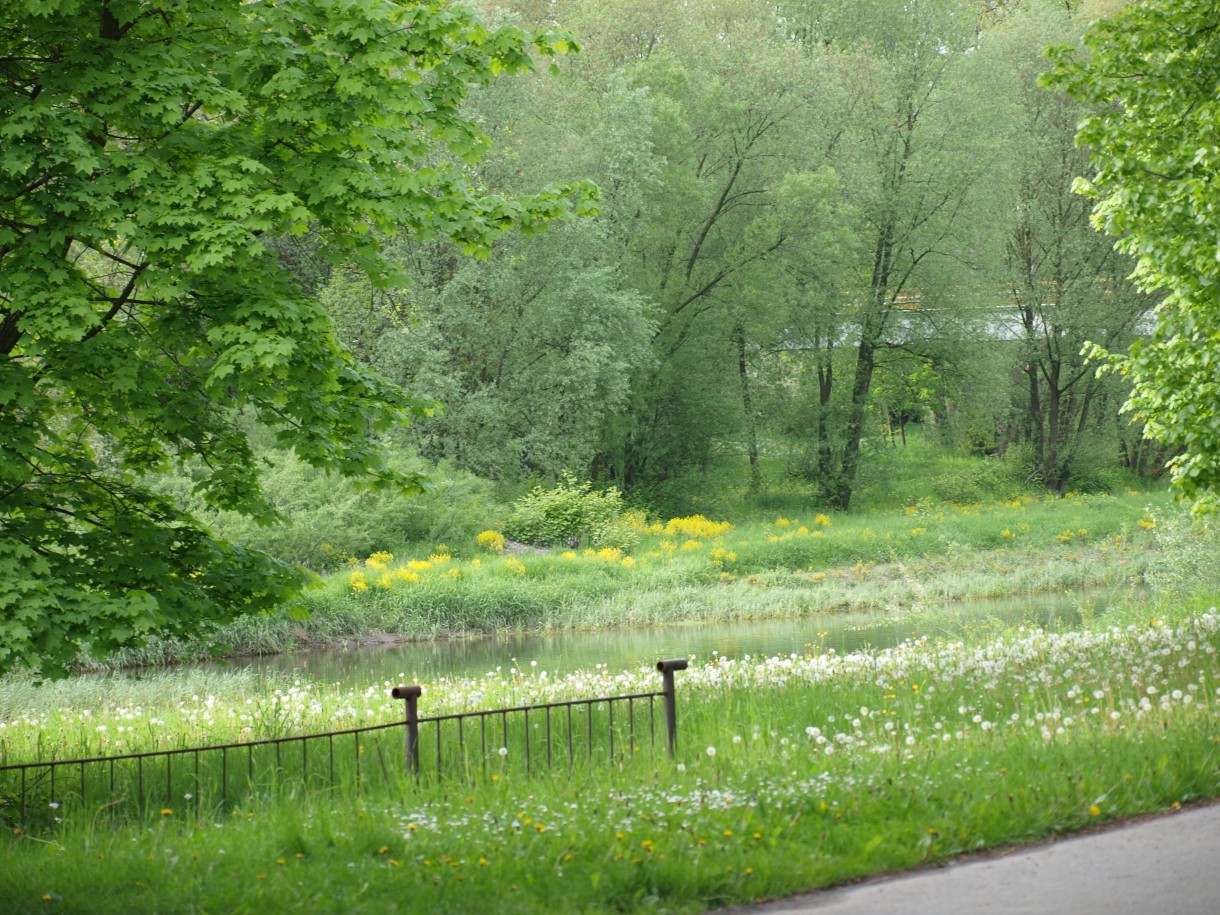 Podróże, Majowa