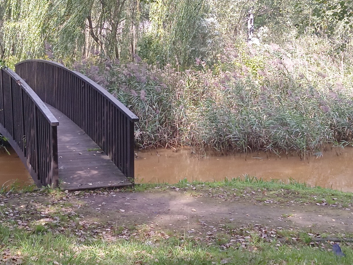 Leśne klimaty, PARKOWE ZACISZE