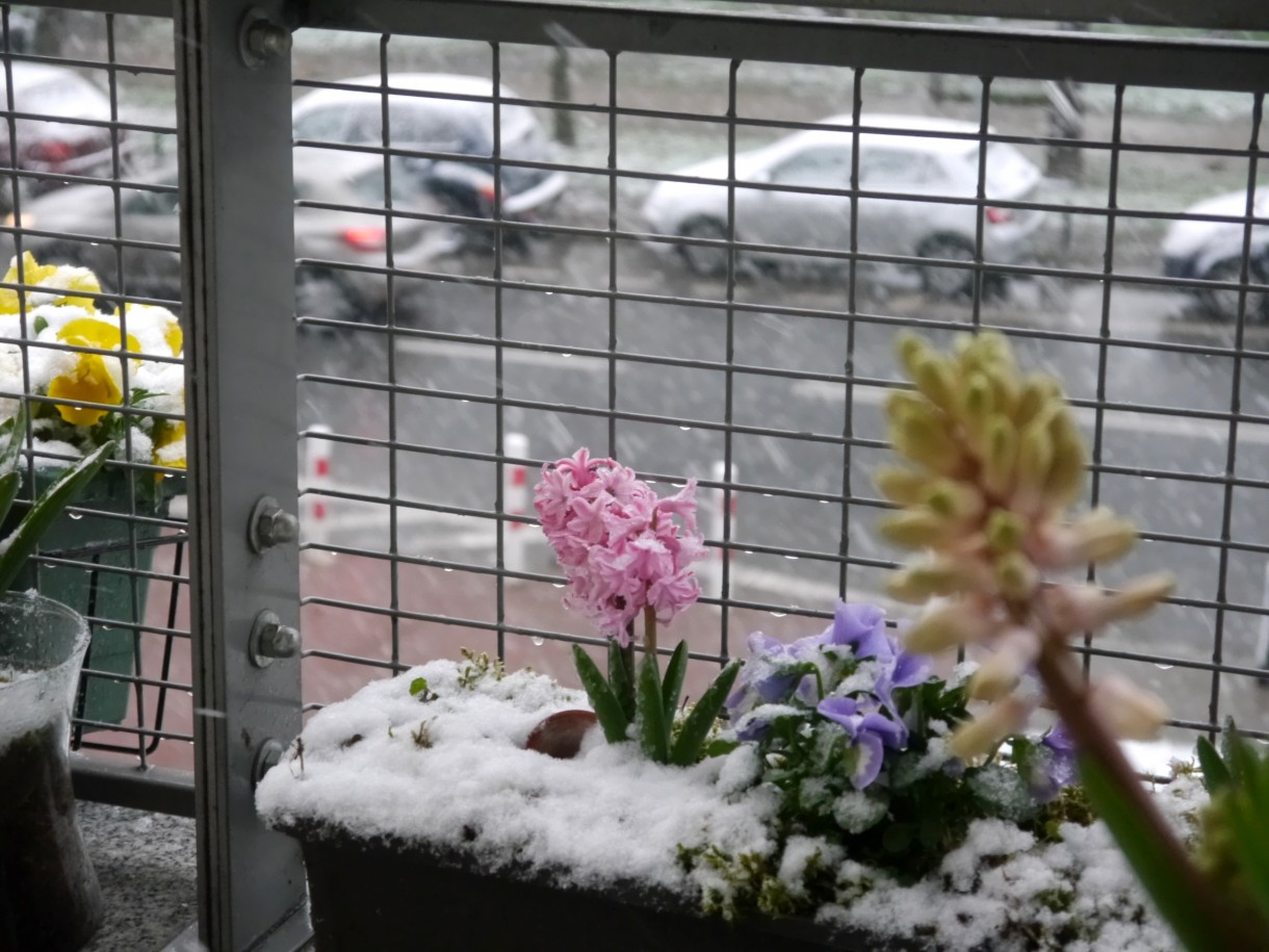 Balkon, Kapryśny kwiecień