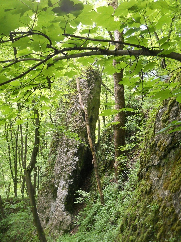 Podróże, Dolina Mnikowska, wycieczka spacerowo - wyczynowa:) - Od szlaku, odchodzi ścieżynka kierująca się w stronę jaskini.