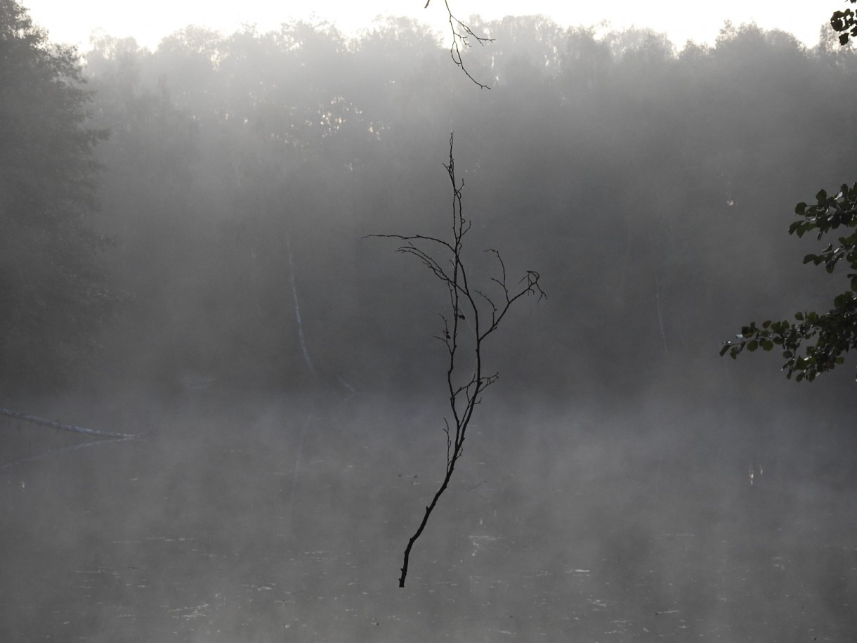 Leśne klimaty, JESIEŃ...JAK ZACZAROWANA