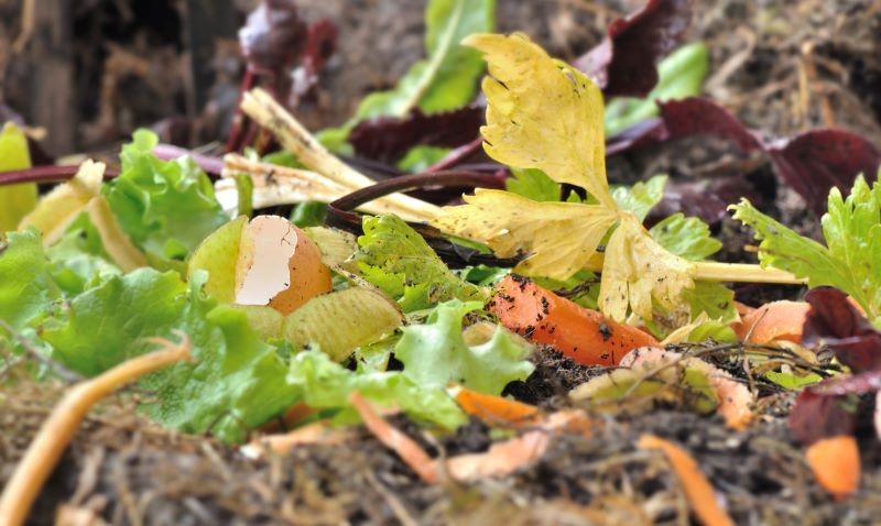 Jeśli nie napowietrzamy kompostu, zacznie wydzielać przykry zapach.