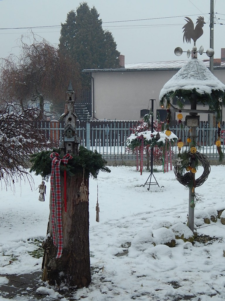 Ogród, ADWENTOWE OPOWIEŚCI :)