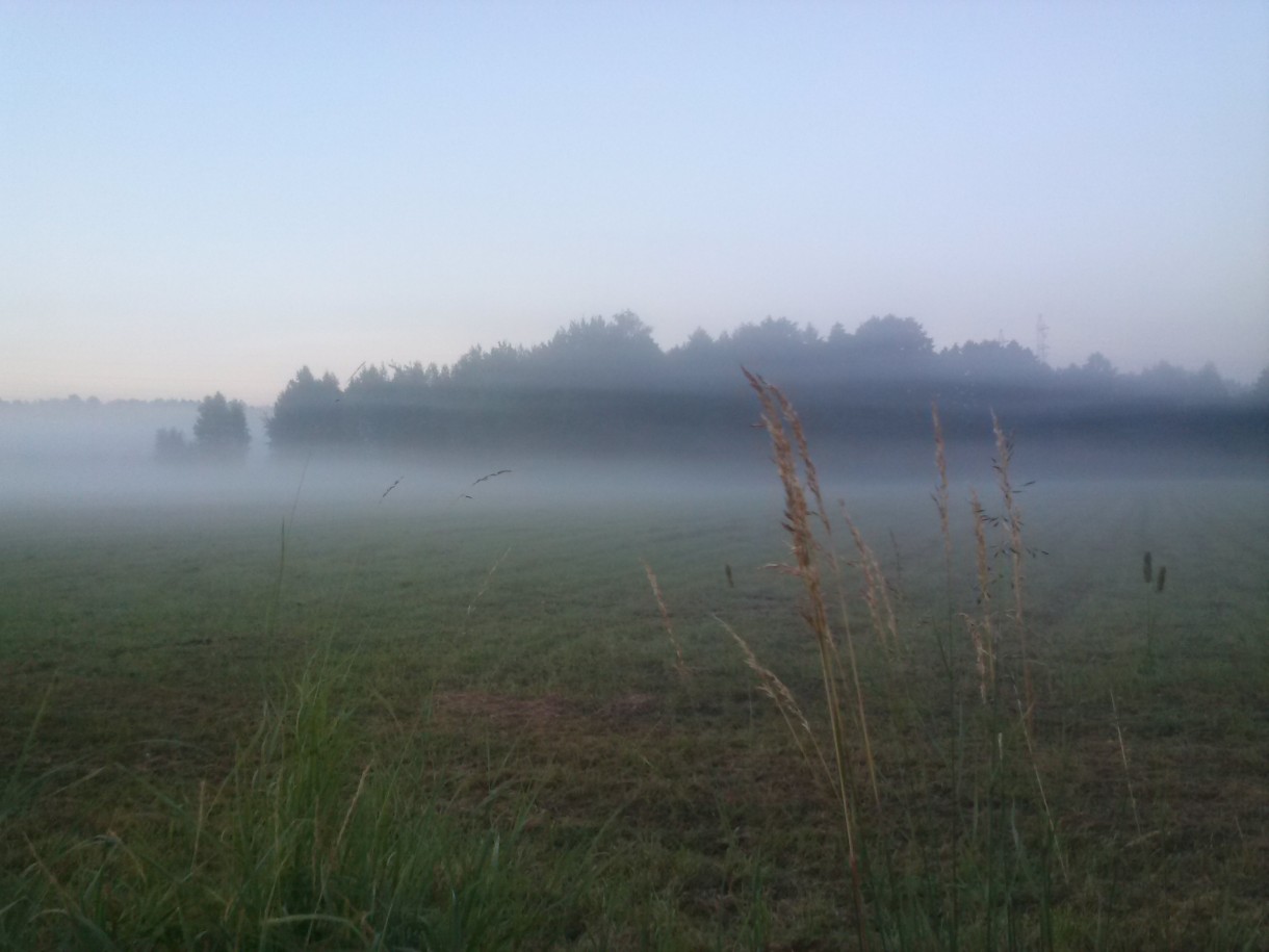 Pozostałe, Bo idzie grudzień...a bardzo jest wymagający.