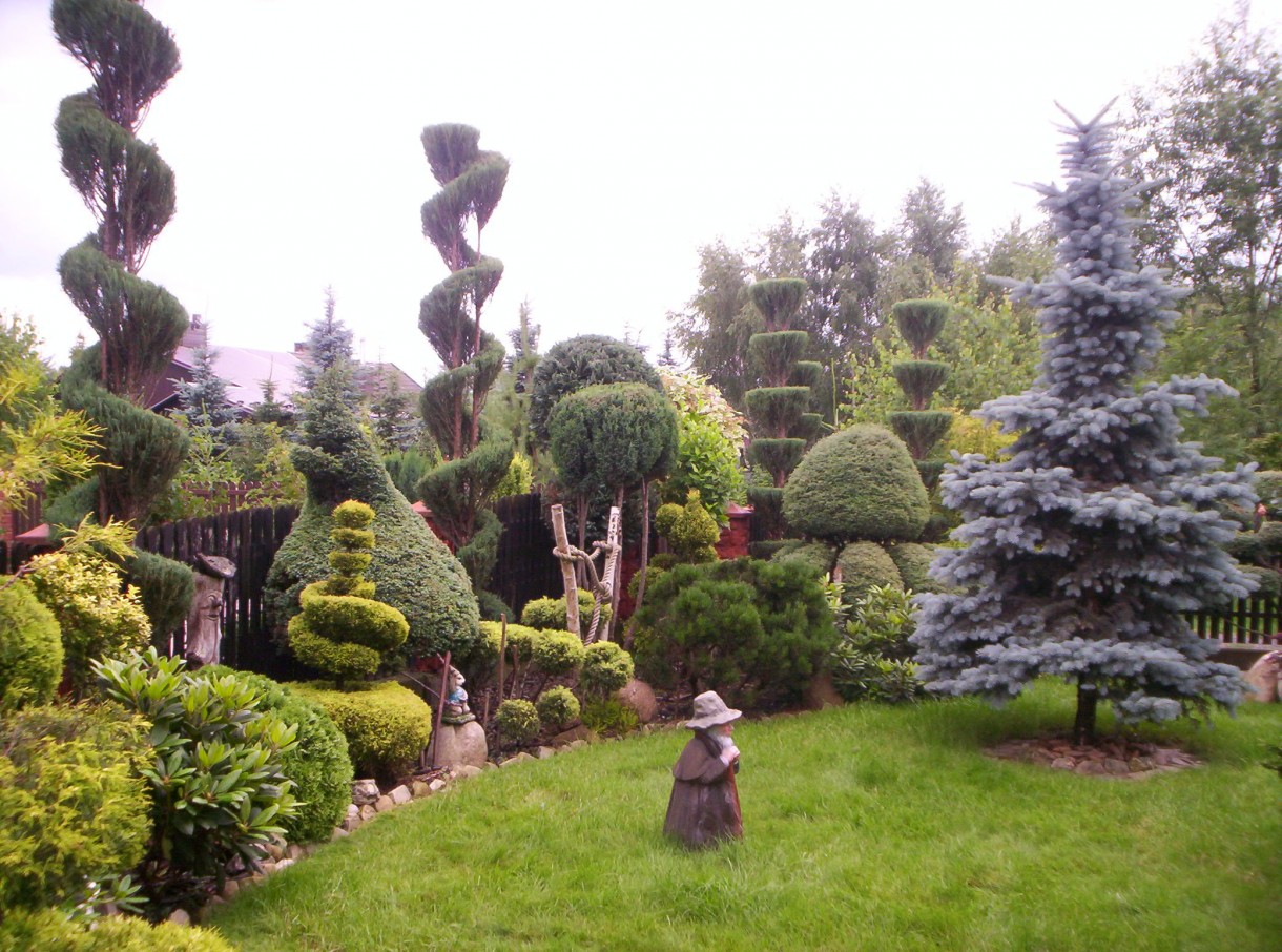 Ogród, TOPIARY