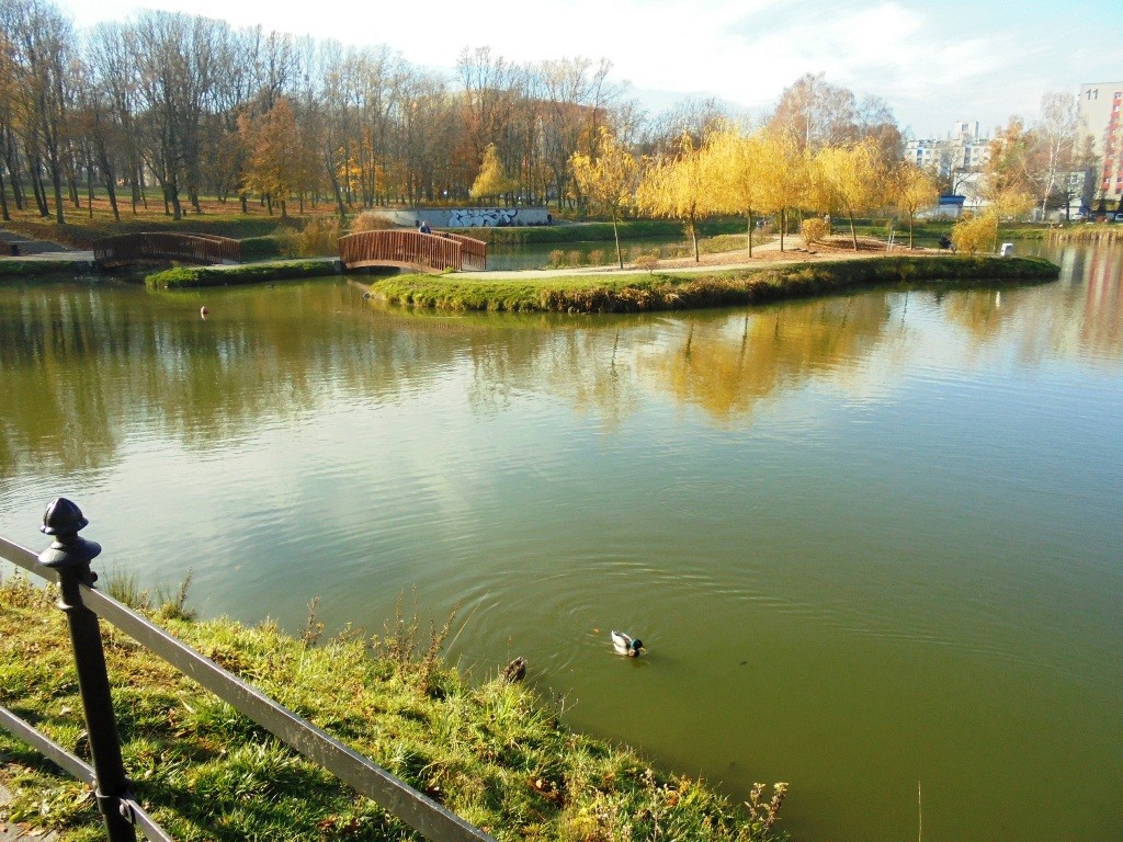 Rośliny, JESIEŃ  LŚNI  ZŁOCIŚCIE - Park Kachla Bytom