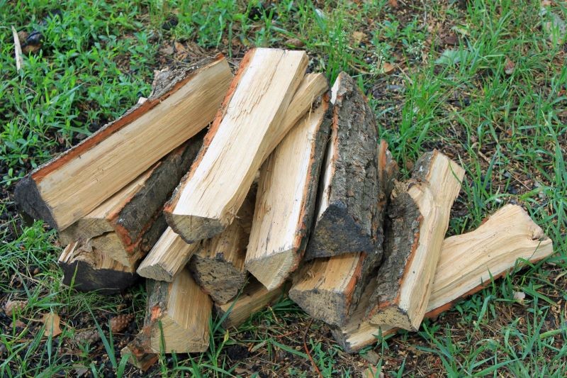 Jakie drewno jest najbardziej kaloryczne?