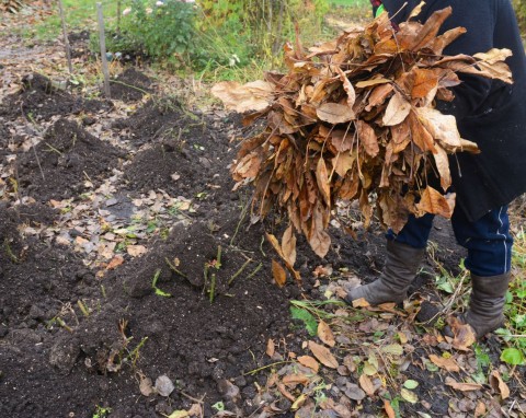 Sposób na własną ogrodową próchnicę. Teraz jest najlepszy czas, by zrobić ten cenny, naturalny nawóz