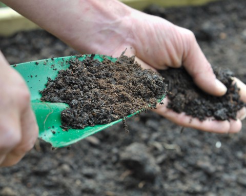 Ekologicznie we własnym ogrodzie. Jak uzyskać i wykorzystywać kompost?
