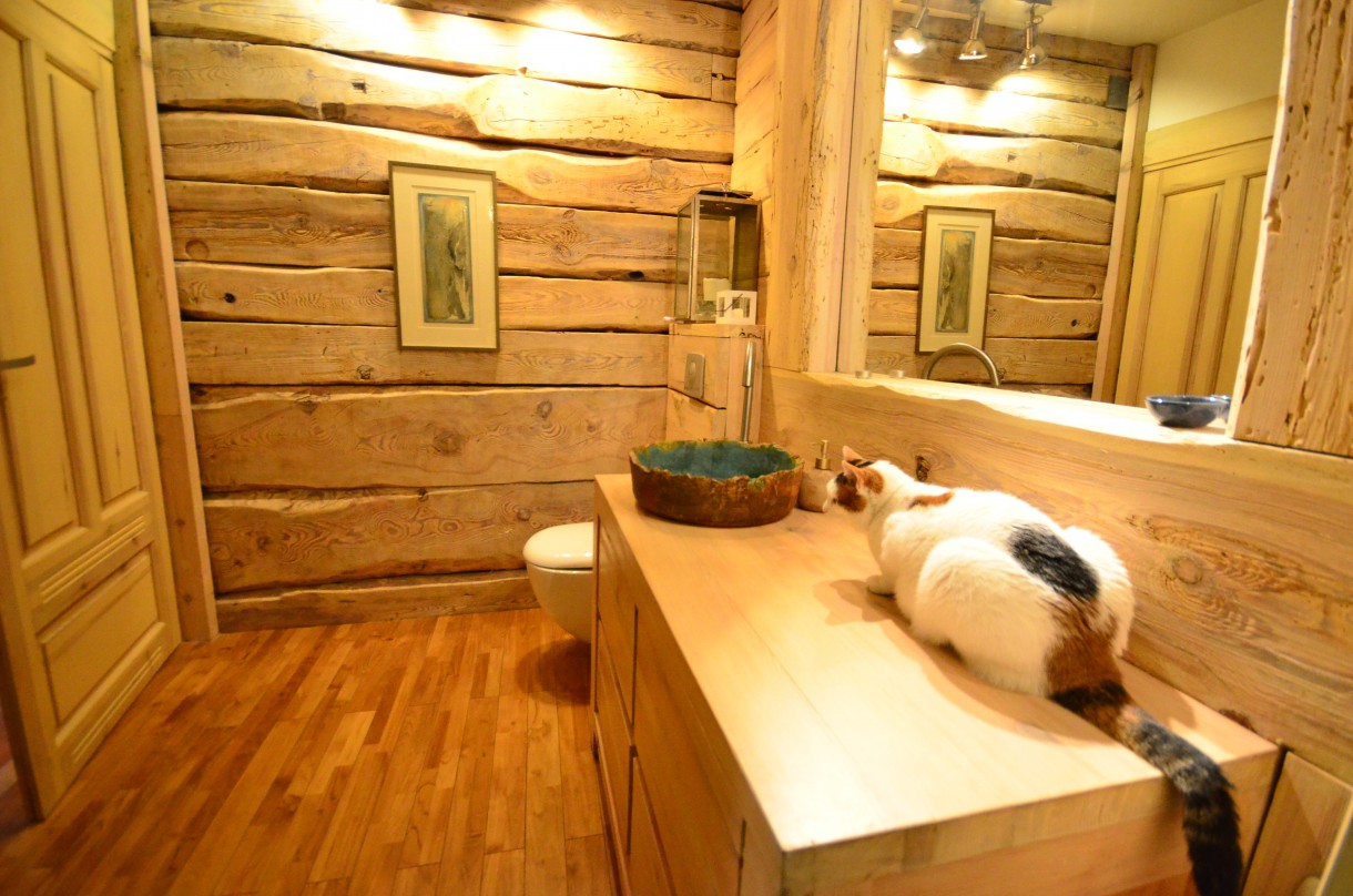 Salon, Dom nie - doskonały - kot szaleje za wodą .... i weź temu kotu wytłumacz, że czasem musisz pobyć w łazience sama :)