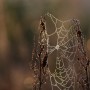 Leśne klimaty, JESIEŃ...JAK ZACZAROWANA