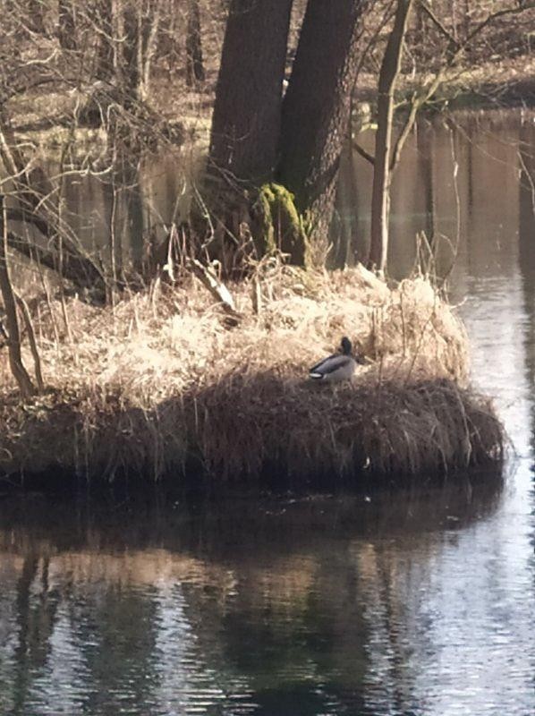 Leśne klimaty, Rezerwat Niebieskie Źródła